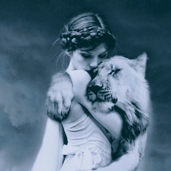 Meet your Posher, Bella - Picture 1 of 1